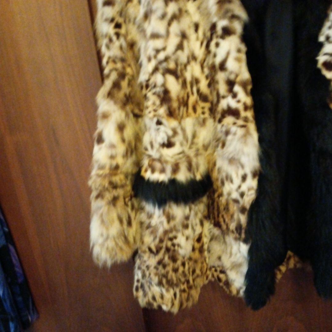 ちょっと可愛い 山猫のコート