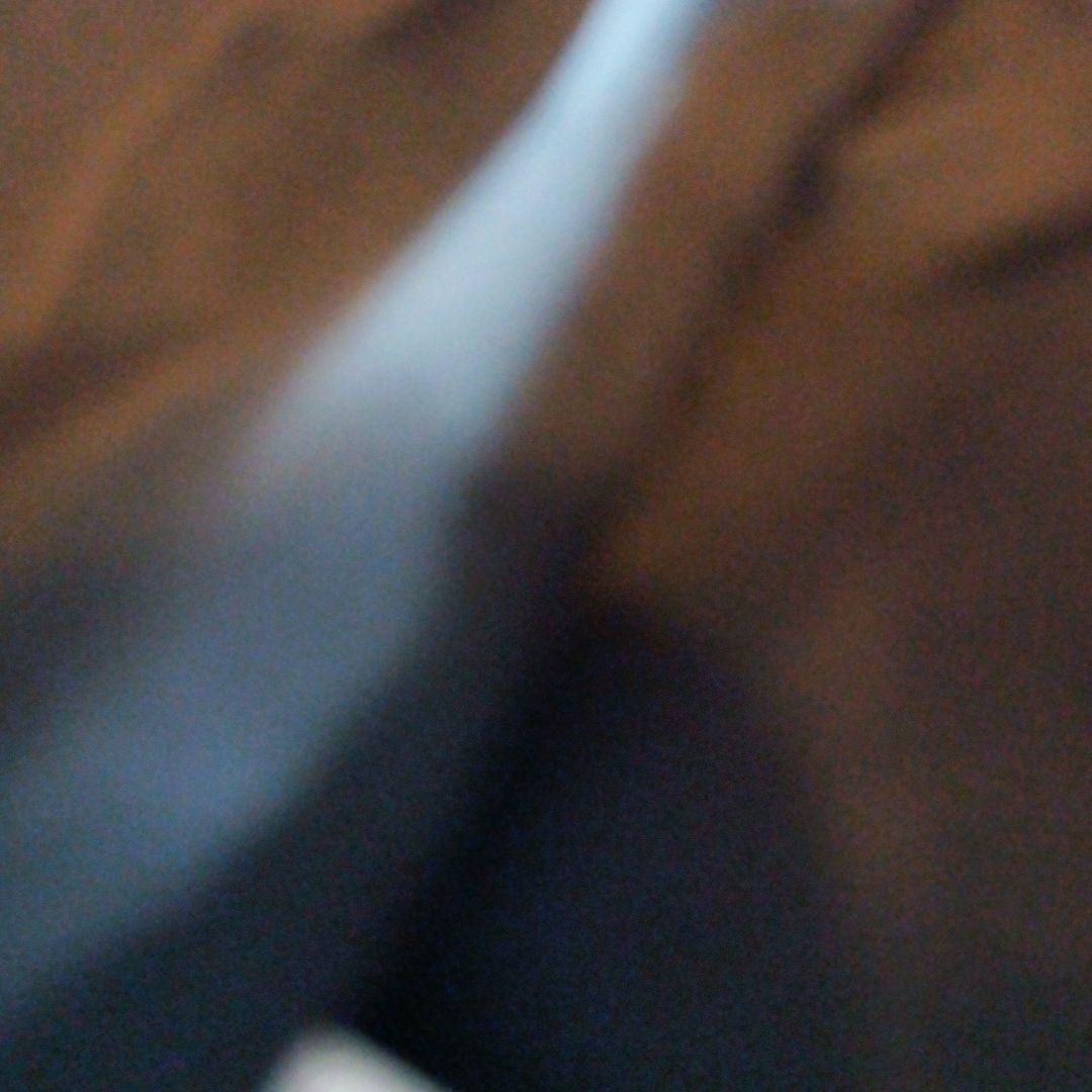 ちょっと可愛い 山猫のコート