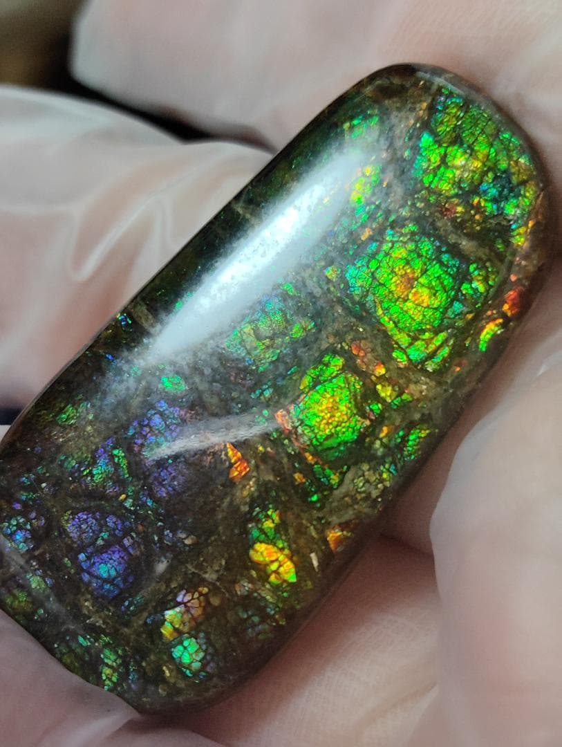 アンモライト　ルース　最後の画像２枚裏面発色　24-0735 39000