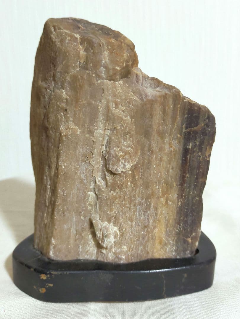 特価セール✨珪化木　化石　パワーストーン　希少　置物　木製台座付き