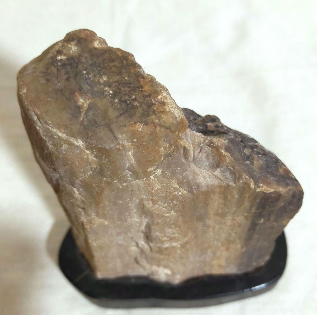 特価セール✨珪化木　化石　パワーストーン　希少　置物　木製台座付き