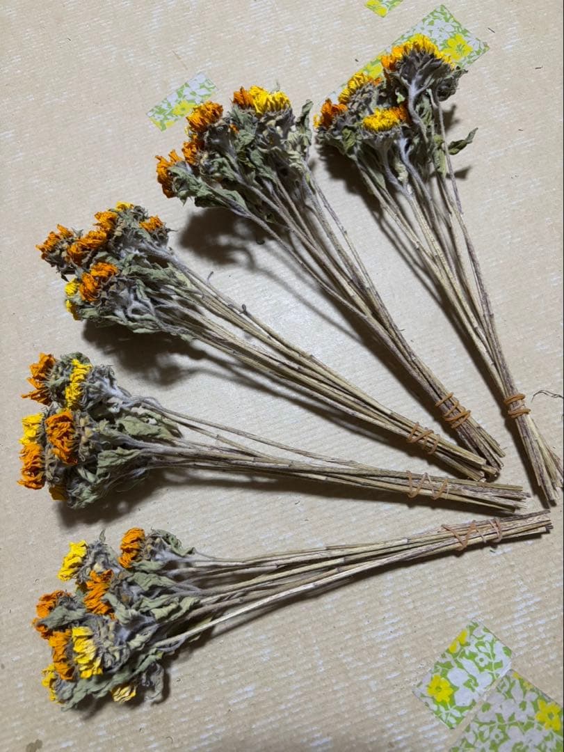 ドライフラワー 小さなひまわり
