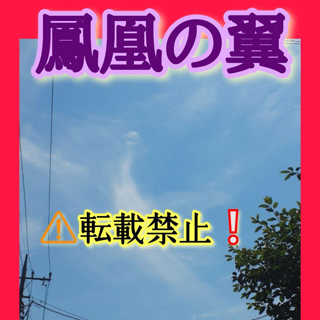 超希少❇龍神と対❇️鳳凰⭐四神⭐四神獣⭐四神相応⭐四神獣置物⭐お守り⭐心願成就