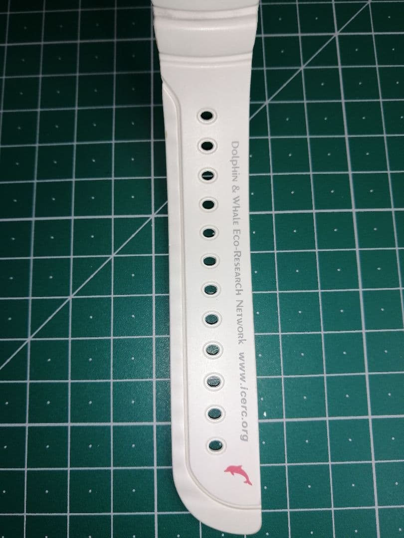 カシオG-shock baby-g BGW-105K フロッグマン　イルクジ