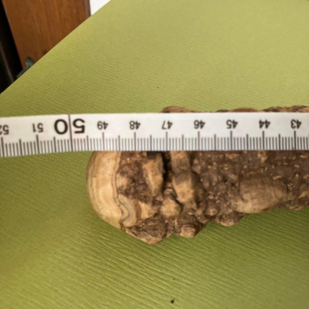 極上品超極太5.0cm 天然本山椒すりこぎ棒　プロ仕様国産山椒の木★長さ50cm