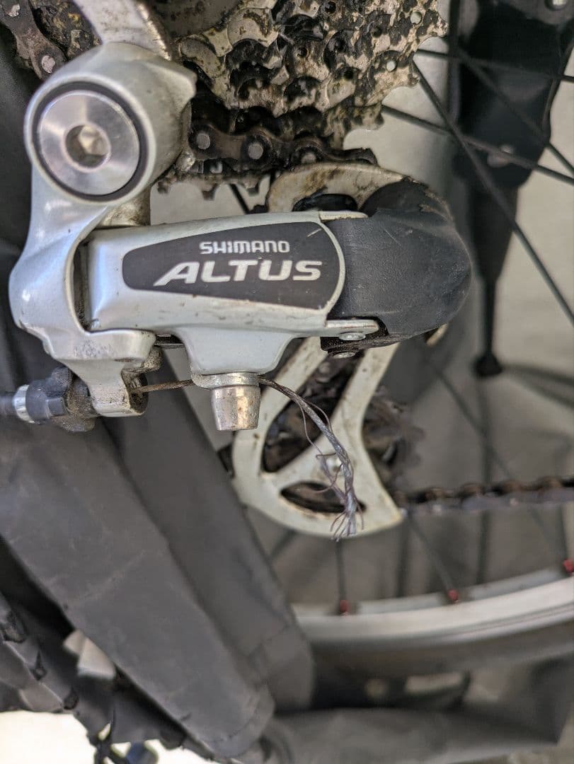 【引き渡し限定】ビアンキカメレオンテ2014年