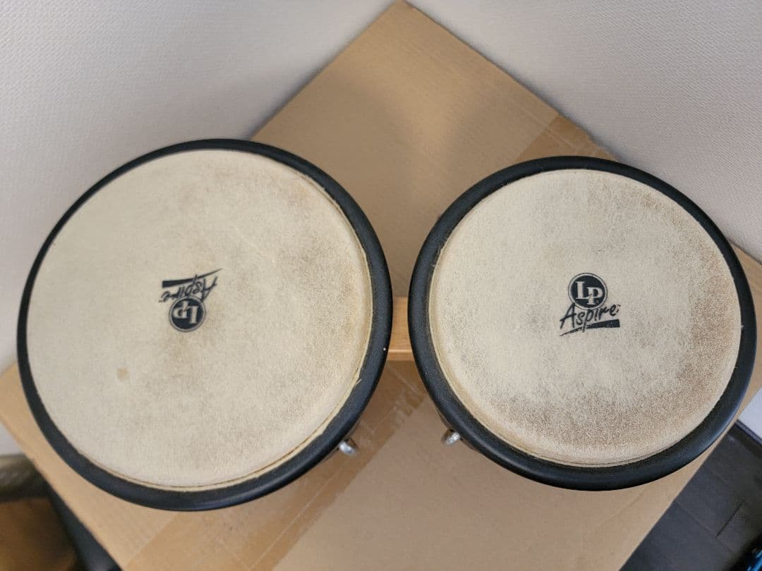 LP Aspire ボンゴ 太鼓 パーカッション