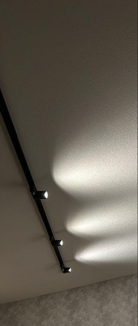 スポットライト　ブラック　自然色　4000K