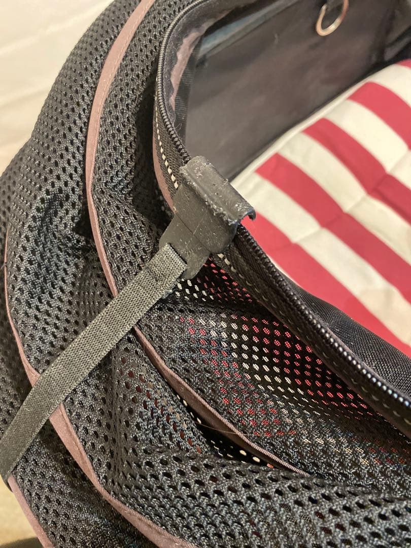 AirBuggy DOME2 LARGE ブレーキ付 オプション有