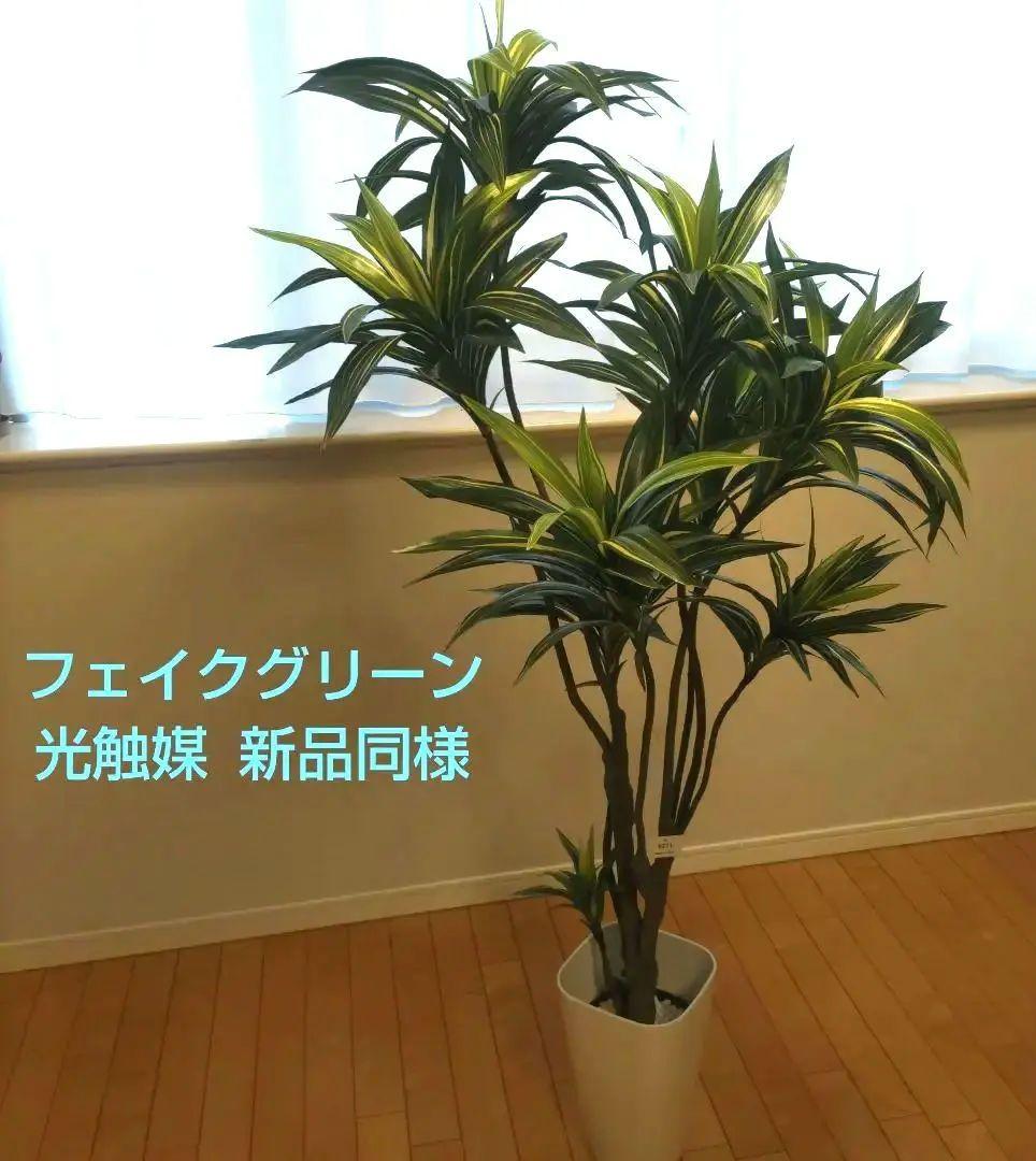 ※オーツ※プレミアム光触媒フェイクグリーン 「ドラセナ・ワーネッキー 8枝