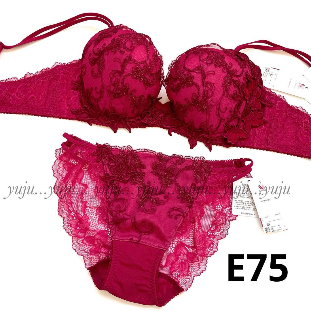 ワコール/パルファージュ 新品タグ付 ブラショーツ　E75