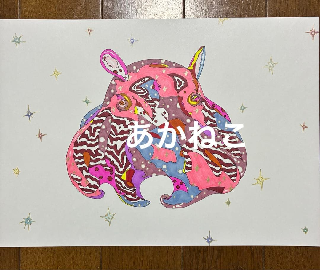 メンダコ　絵画　イラスト