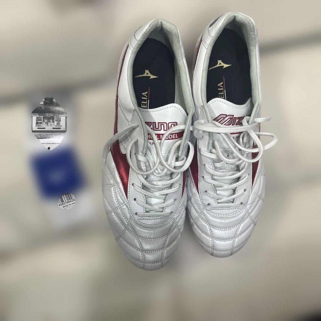 モレリアJAPANag27cm