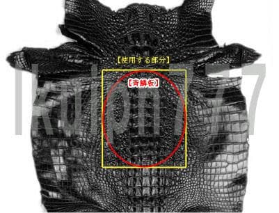 Z57 クロコダイル 長財布 ラウンドファスナー メンズ 新品 未使用
