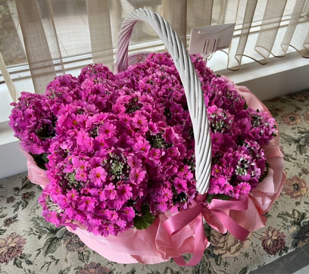 大きいかご　3点セット　籐のかご　ラタン