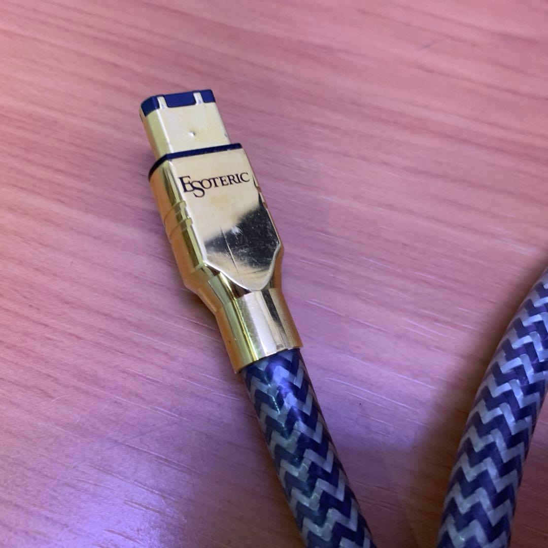 レア❗️ ESOTERIC i.LINKケーブル　8N-6P/6Pi 1.0m