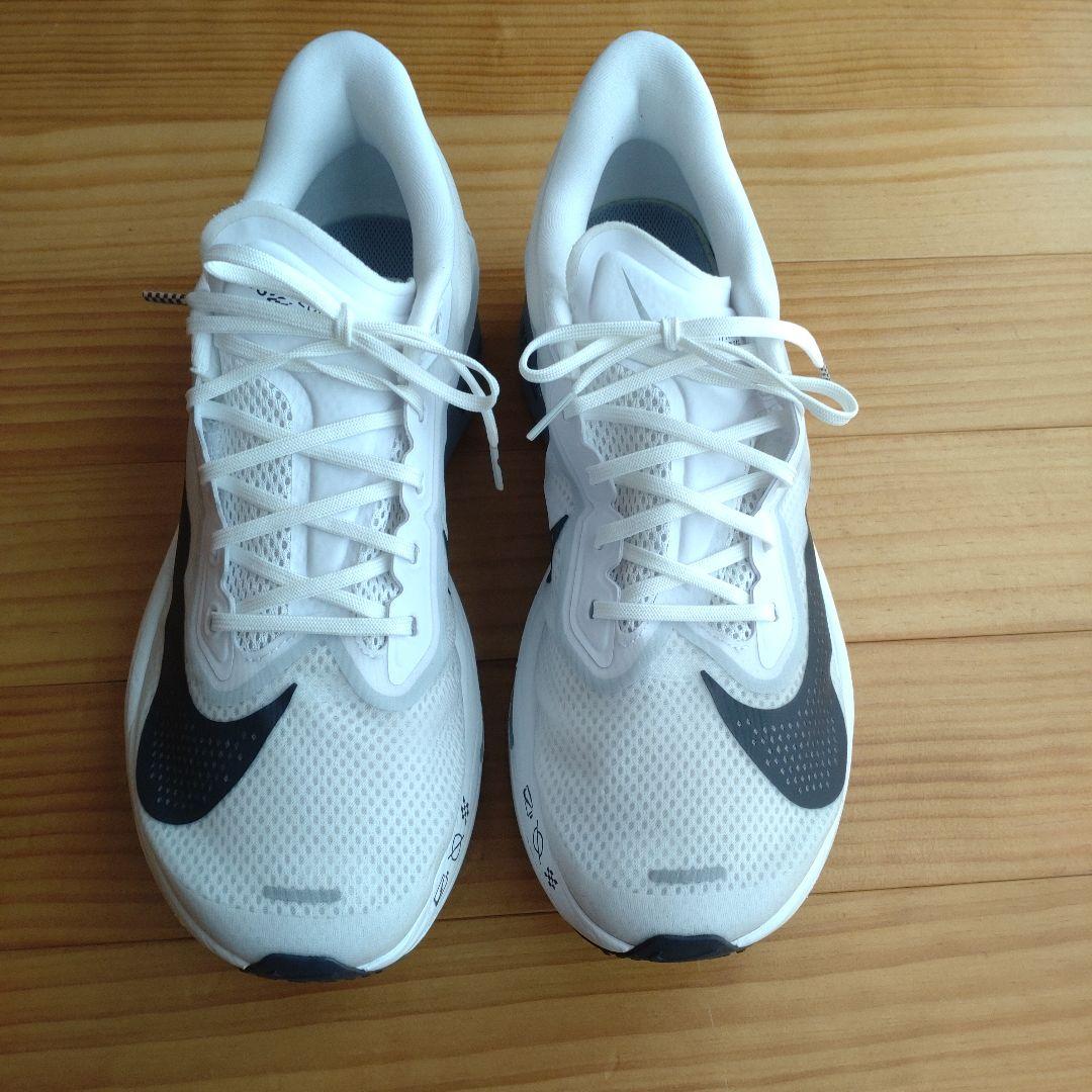NIKE ズームフライ6 29cm