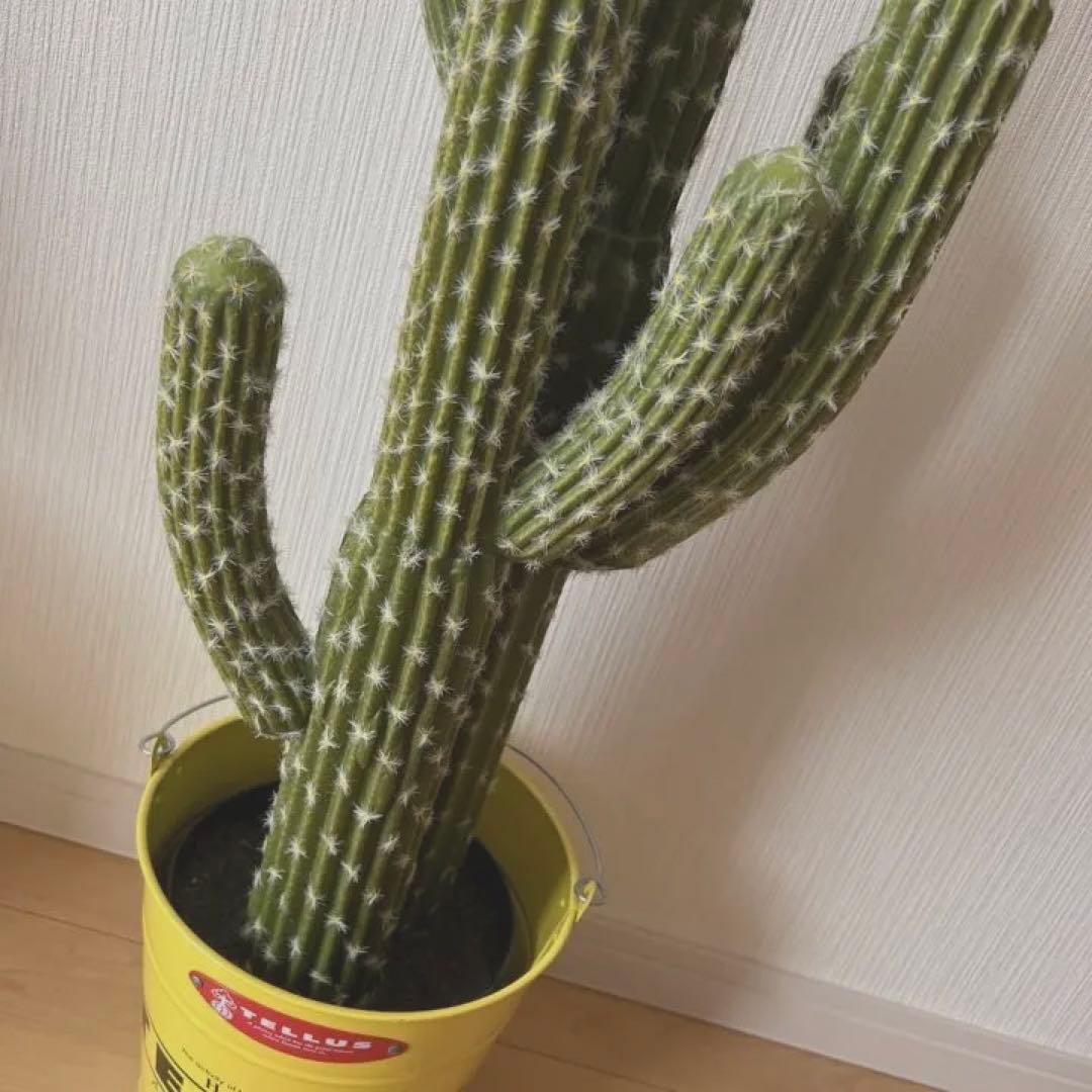 サボテン　フェイク観葉植物　海　夏　インテリア雑貨　お洒落グリーン　西海岸