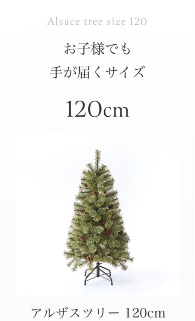 2024ver. アルザスツリー　120cm