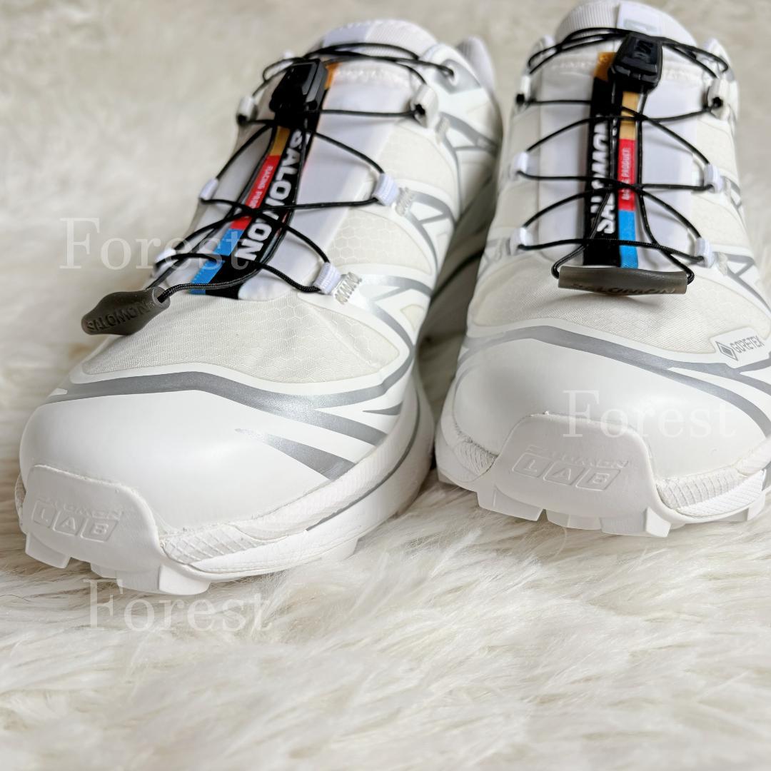 SALOMON XT-6 GTX　25.5