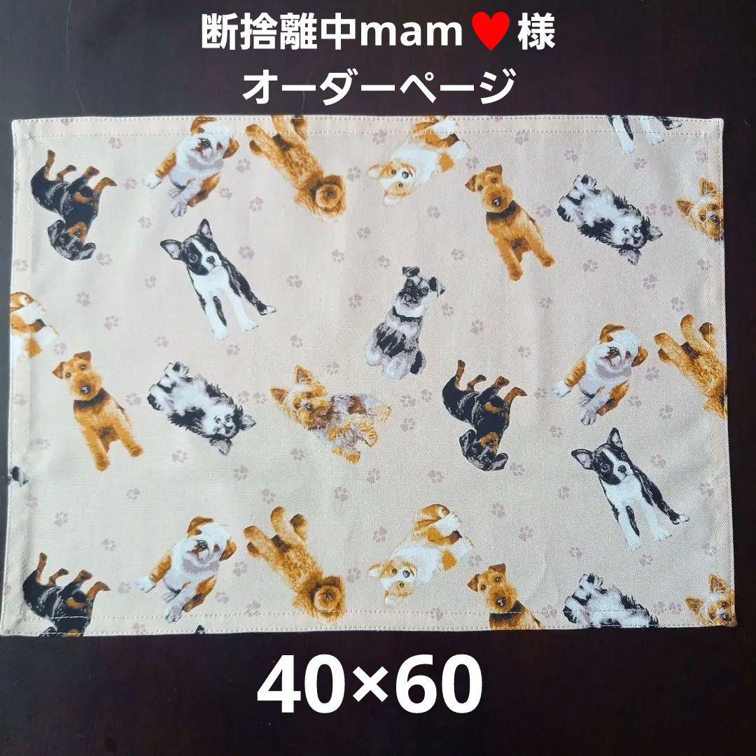 断捨離中mam♥様オーダーページ★ランチクロス★うさぎシルエット他☆40×60