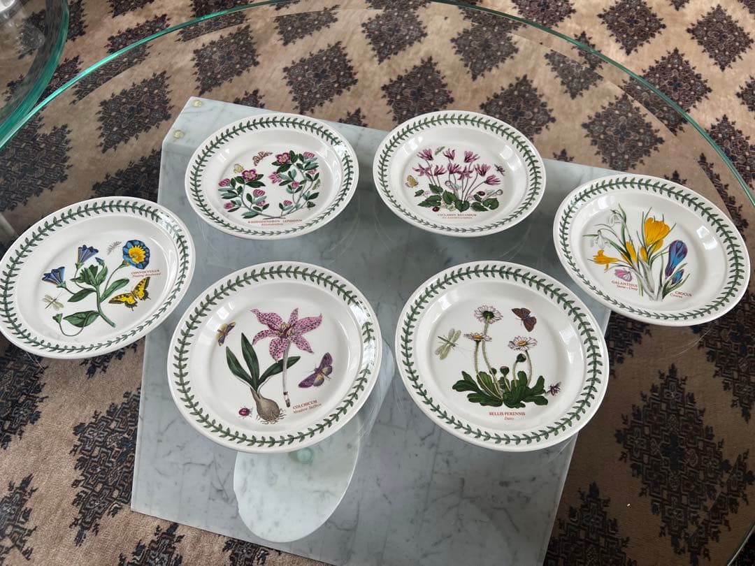 THE BOTANIC GARDEN 皿 6枚セット