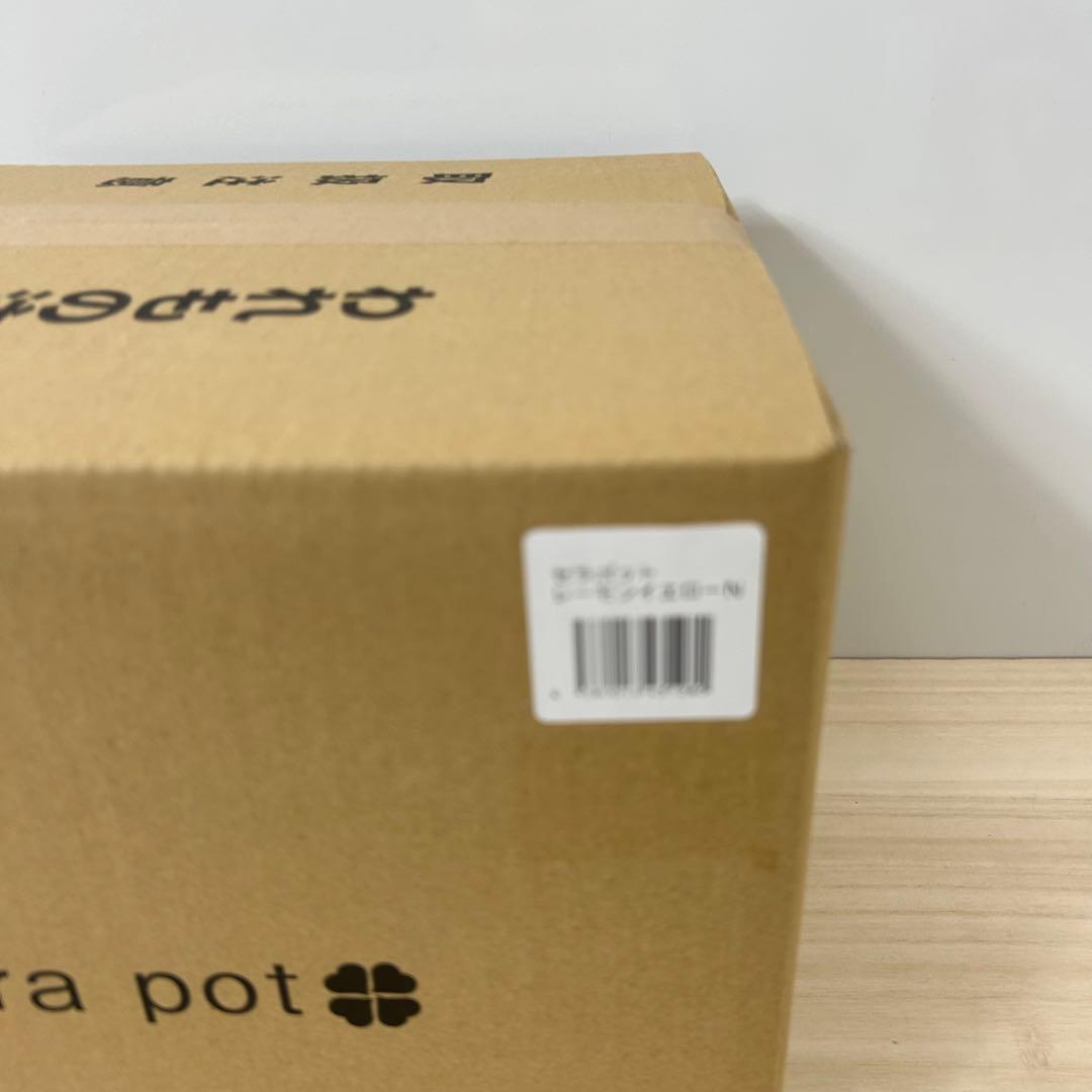 未使用品 cera pot セラポットレモンイエロ －26cm 5点セット