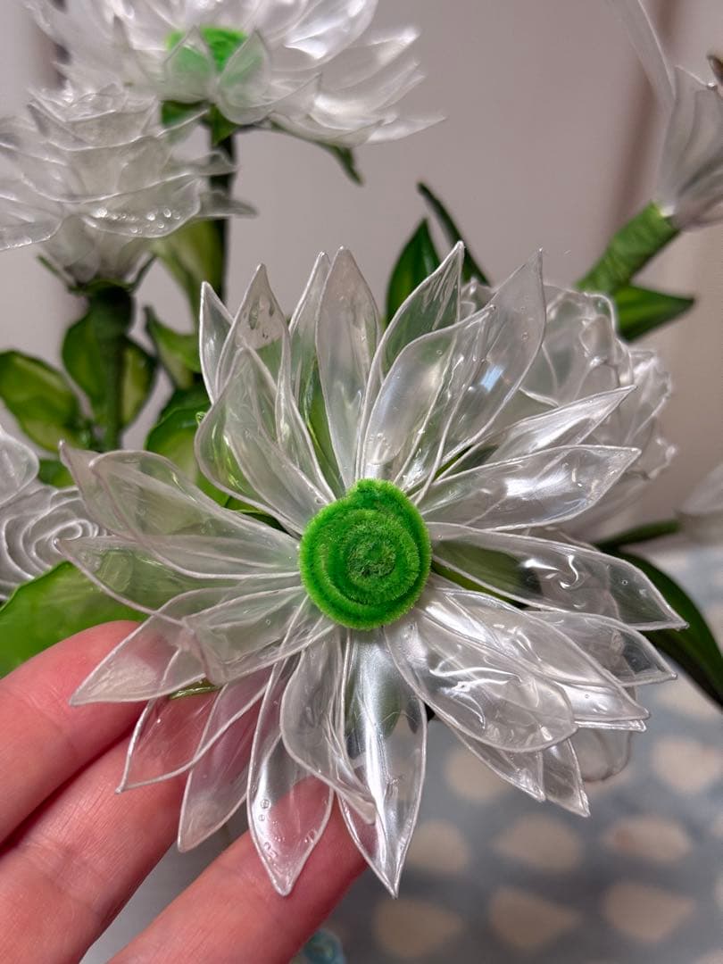 もりのくまさん@です❣️