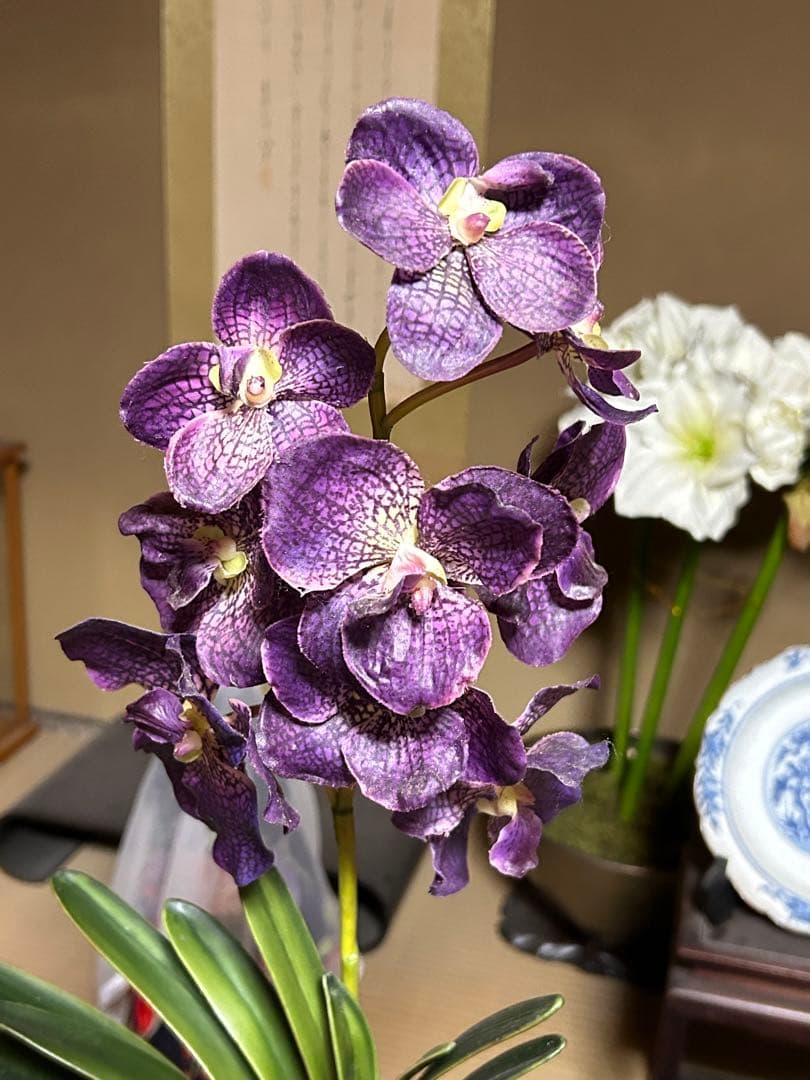 お値下げ　イタリア製　FUTURアートフラワー