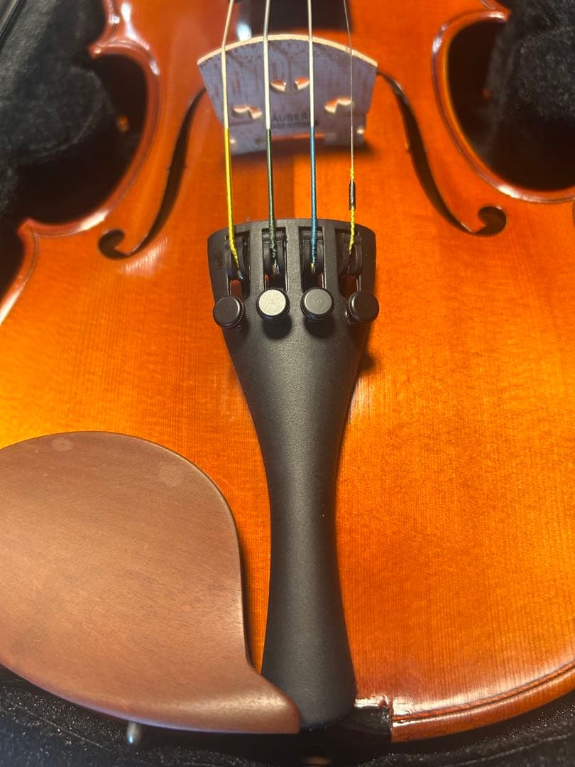 カルロ・ジョルダーノ バイオリン VS-2 1/2 2019年
