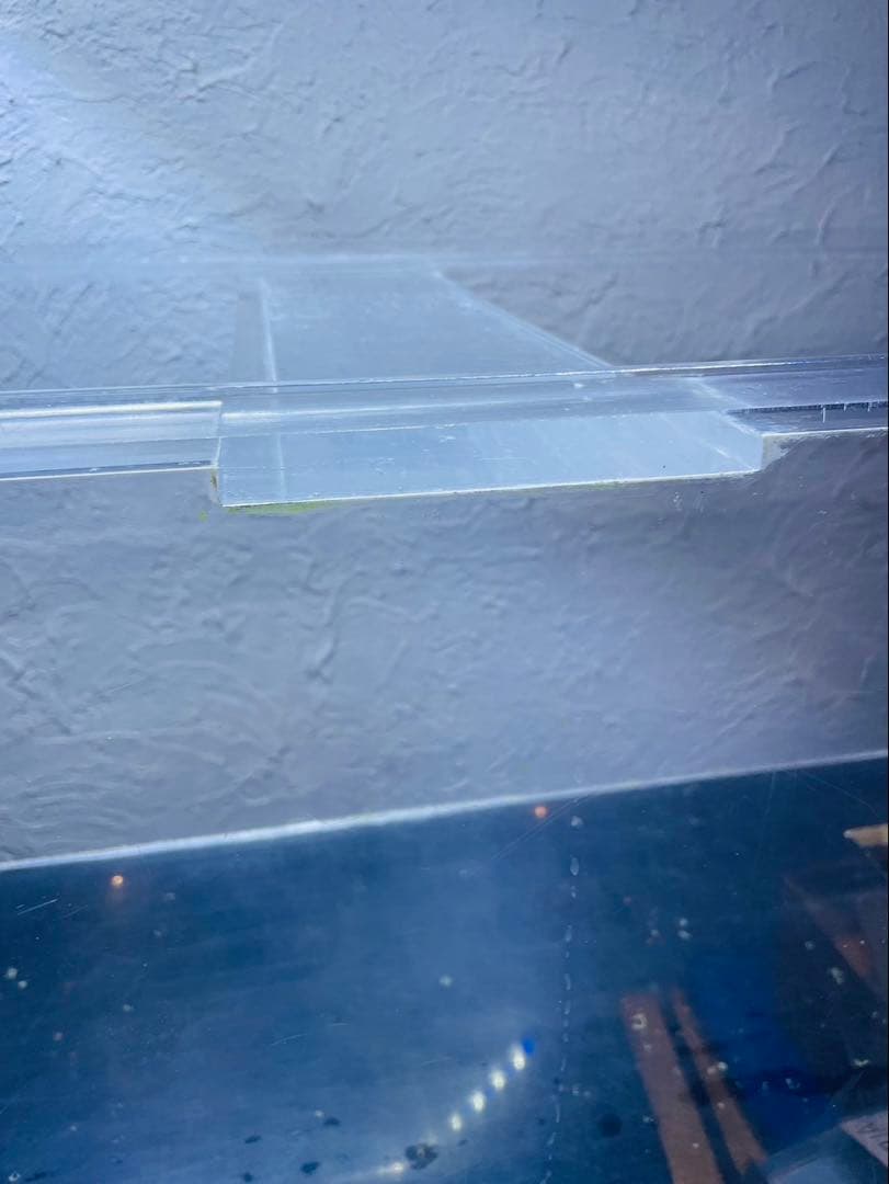 コイ　120cm マーフィード　ウッドキャビ