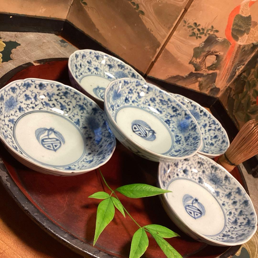 A995❶古伊万里　染付（柿右衛門）花唐草　見込栗紋様　輪花型　膾皿　1枚