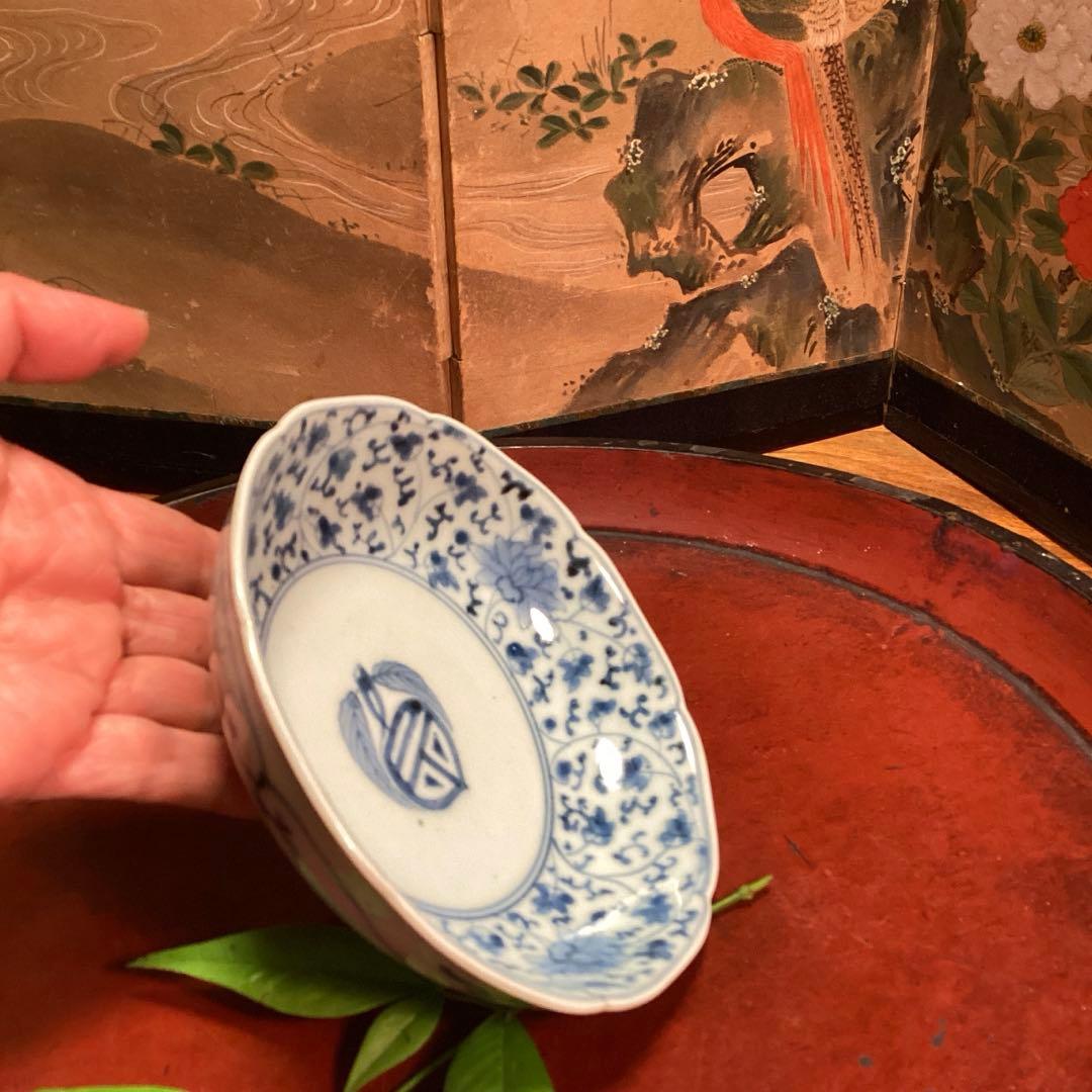 A995❶古伊万里　染付（柿右衛門）花唐草　見込栗紋様　輪花型　膾皿　1枚