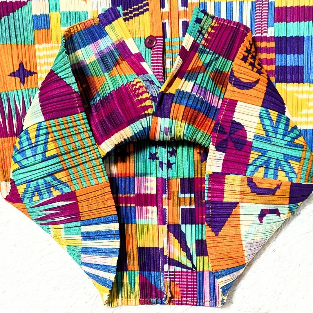 プリーツプリーズ 国旗 半袖ブラウス カットソー 洗える LL マルチカラー