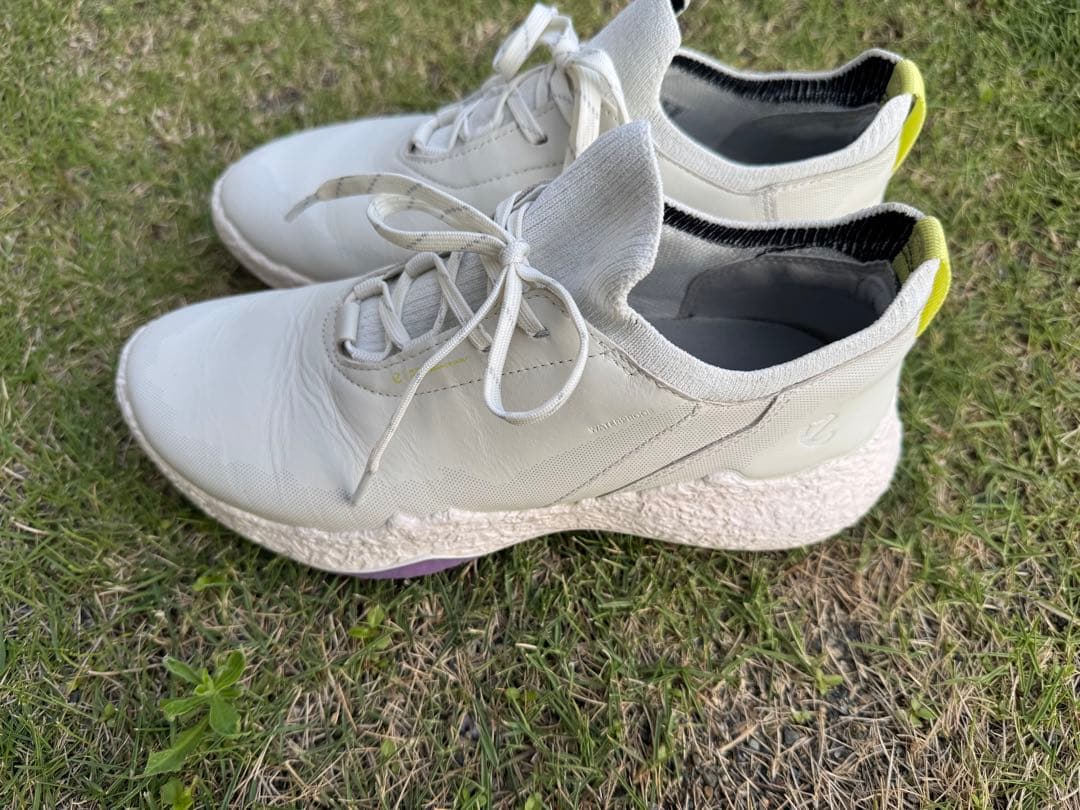 シューズ(女性用) ECCO Golf