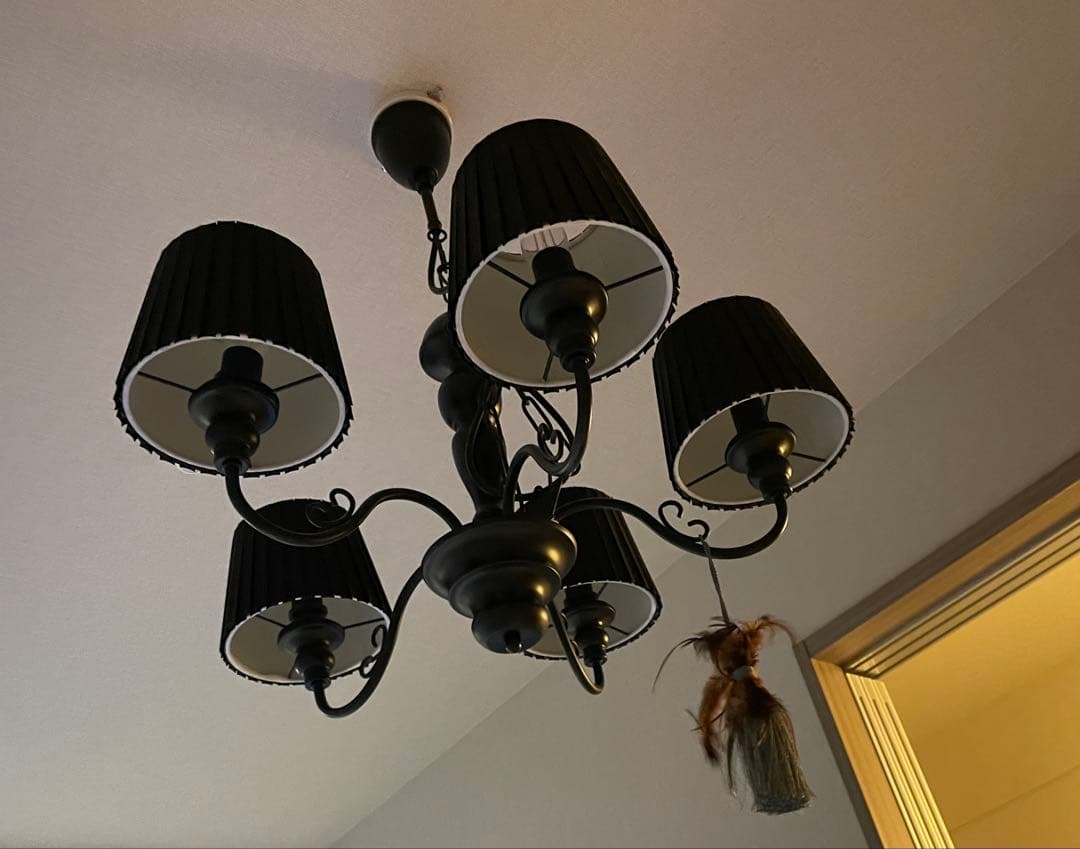Francfranc 黒いシャンデリア 5灯 タッセル付き