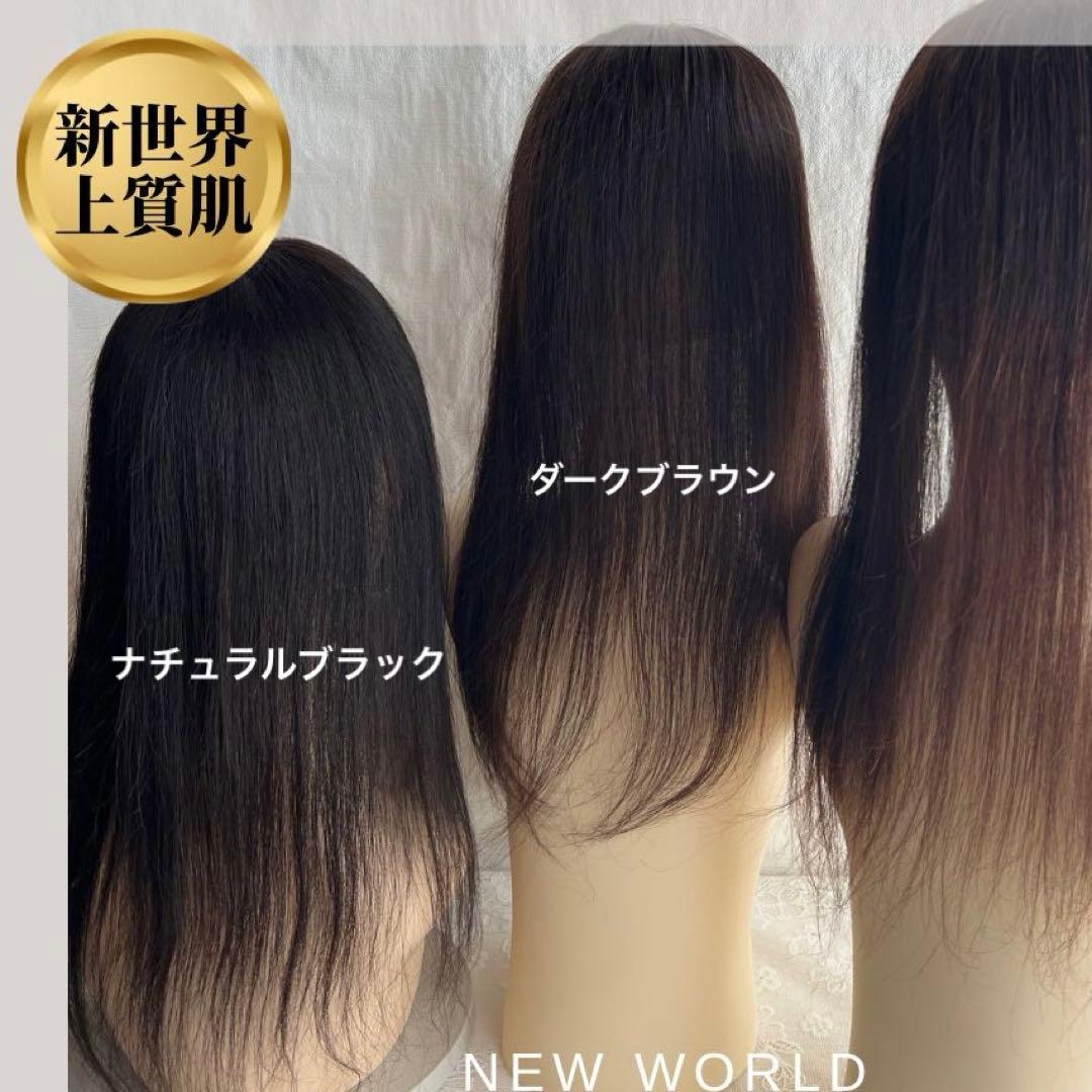 真2025新世界超人工肌人毛100%ウィッグ　ヘアピース　総手植え　部分ウィッグ