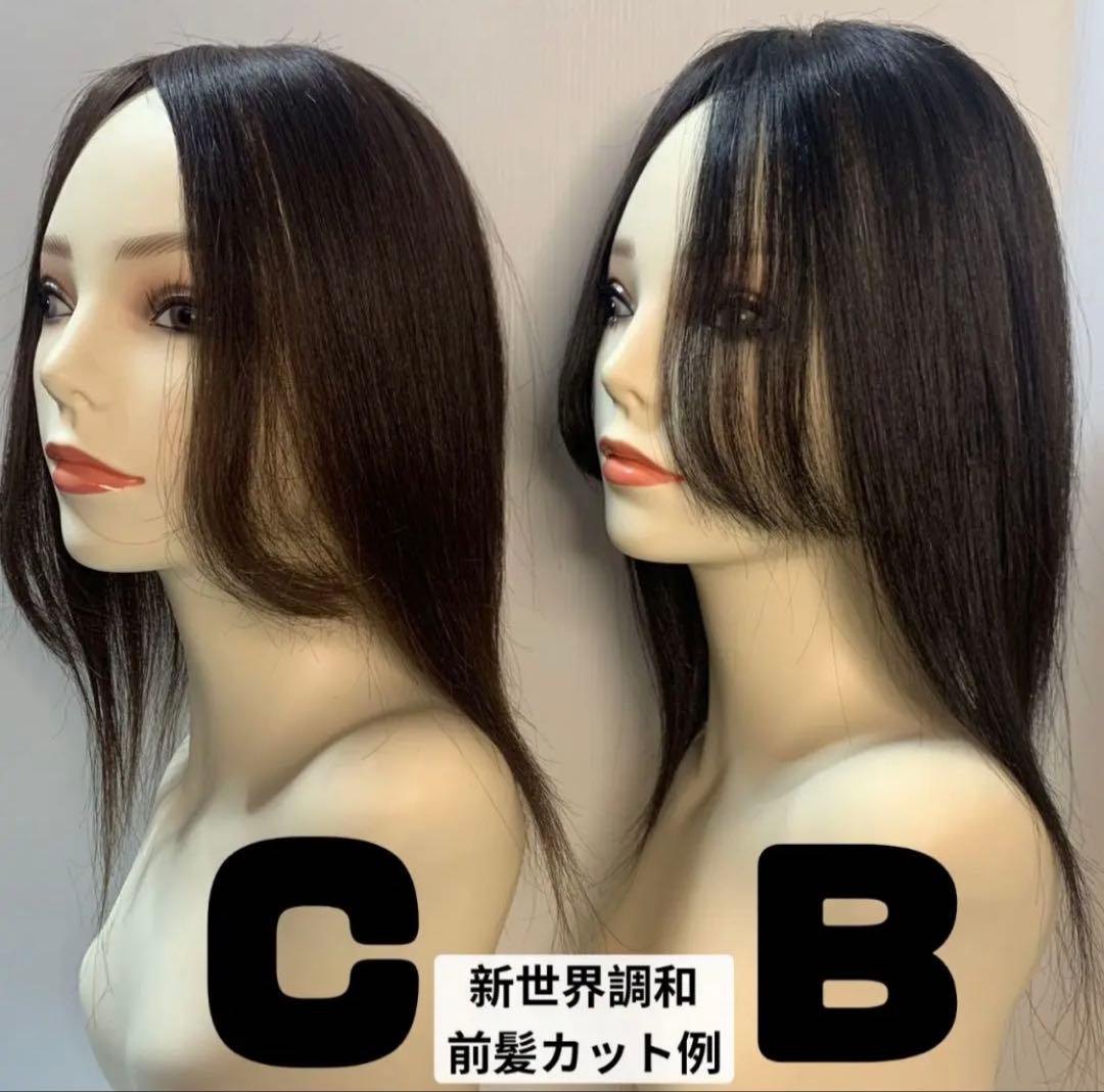 真2025新世界超人工肌人毛100%ウィッグ　ヘアピース　総手植え　部分ウィッグ