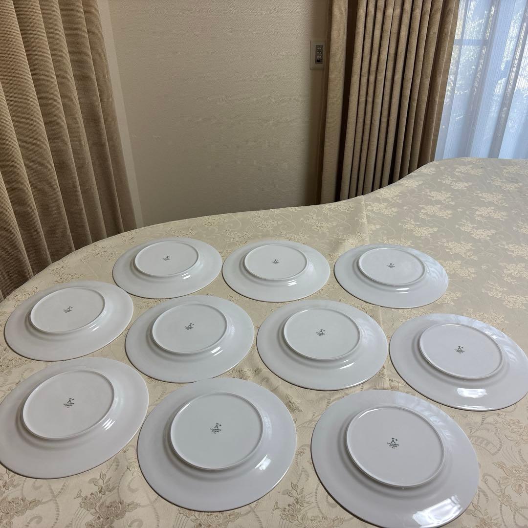 【ホテル仕様の大皿】イタリア アンカップ社製 皿 10枚セット 直径約26cm