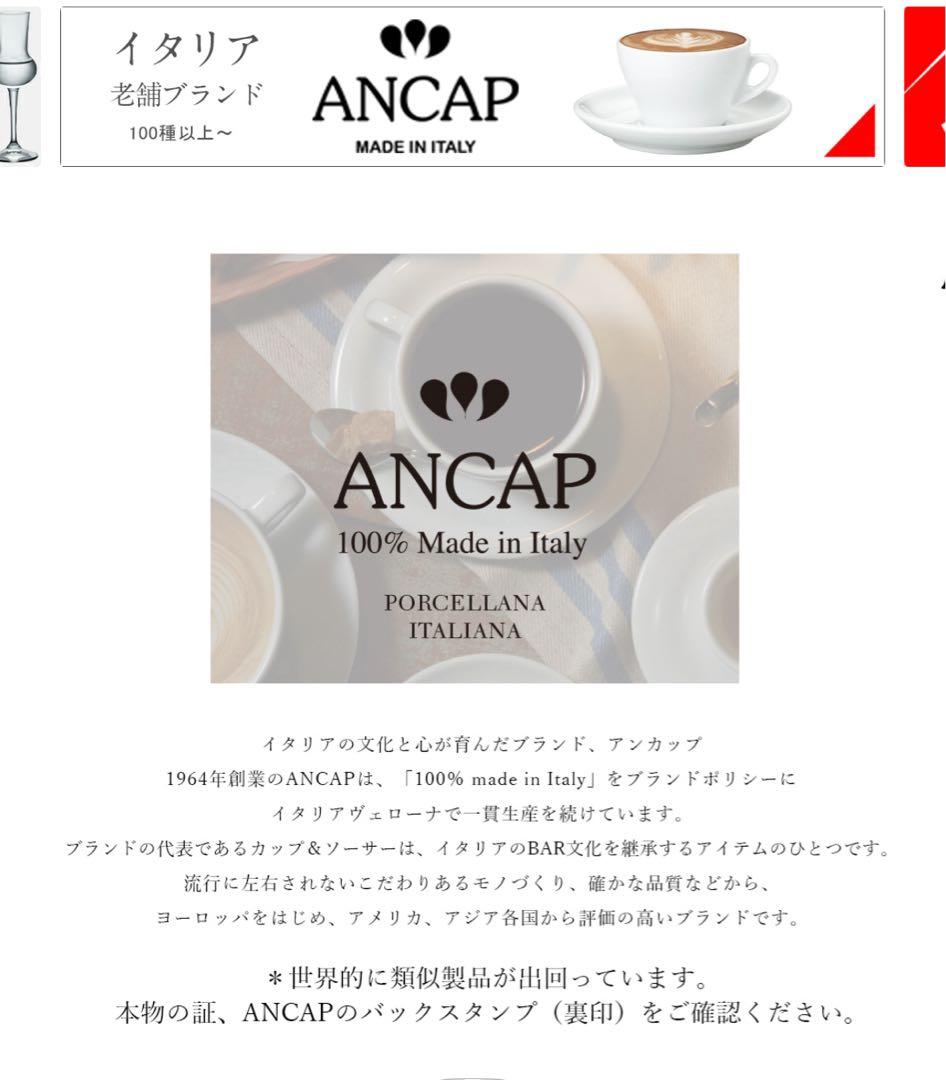 【ホテル仕様の大皿】イタリア アンカップ社製 皿 10枚セット 直径約26cm