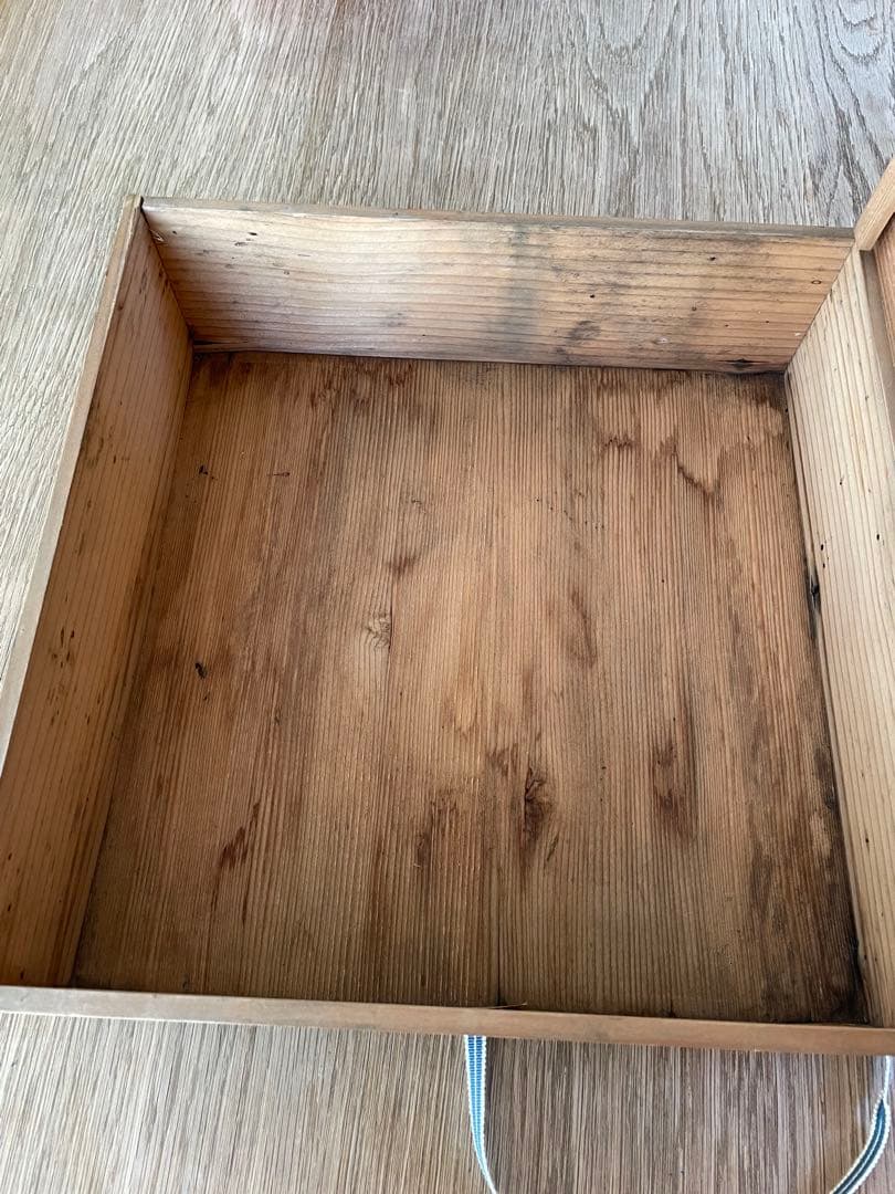 湖東焼 赤絵 金彩 鳳凰文皿