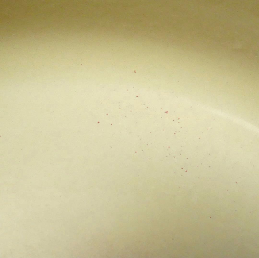 【美品】LE CREUSET　ココット ロンド バーガンディ　24cm