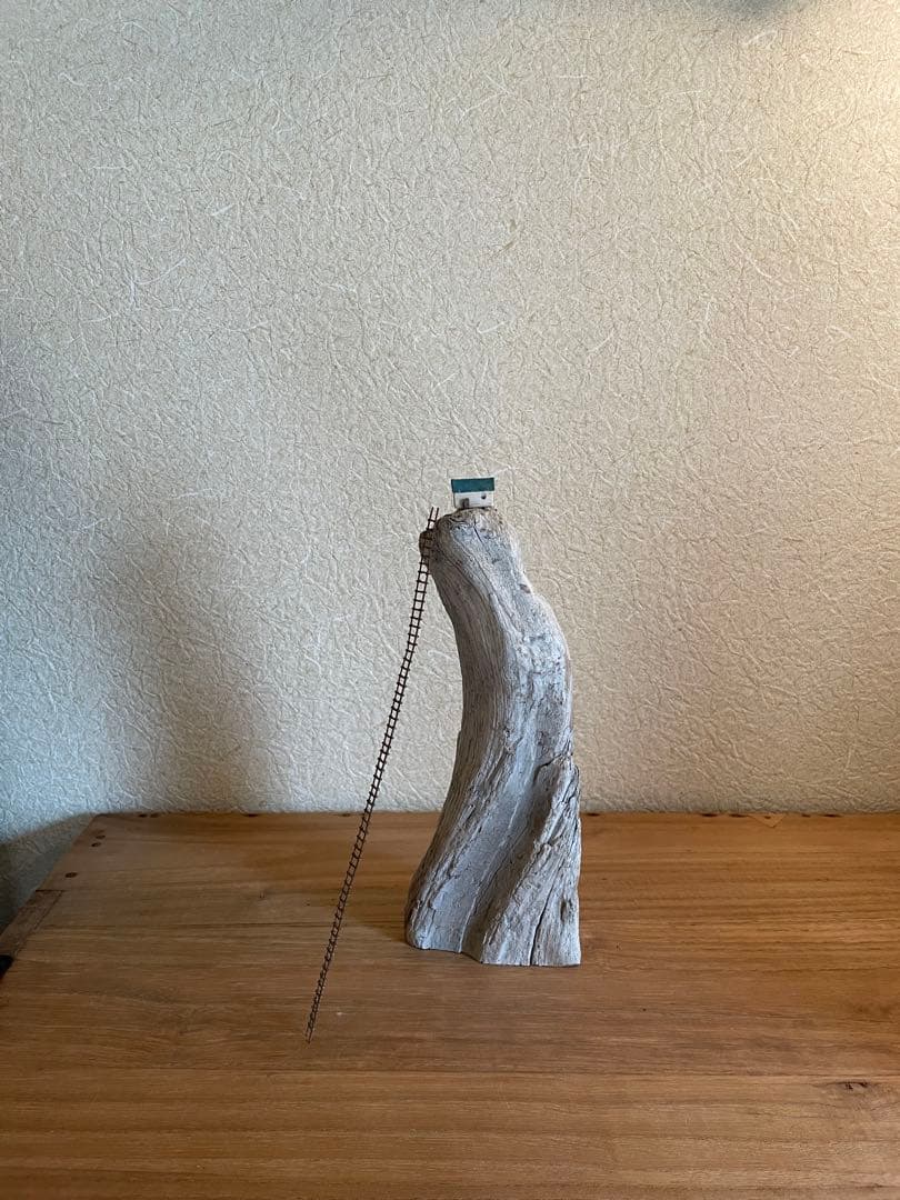 noriyuki watanabe 流木 オブジェ