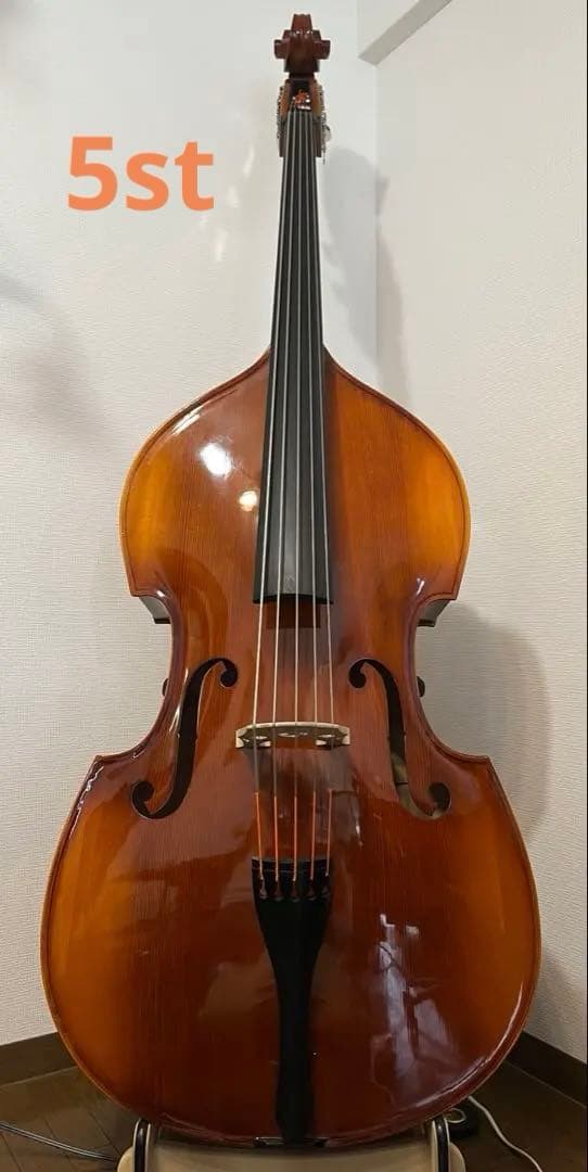 【mkt】Reghin 5弦コントラバス