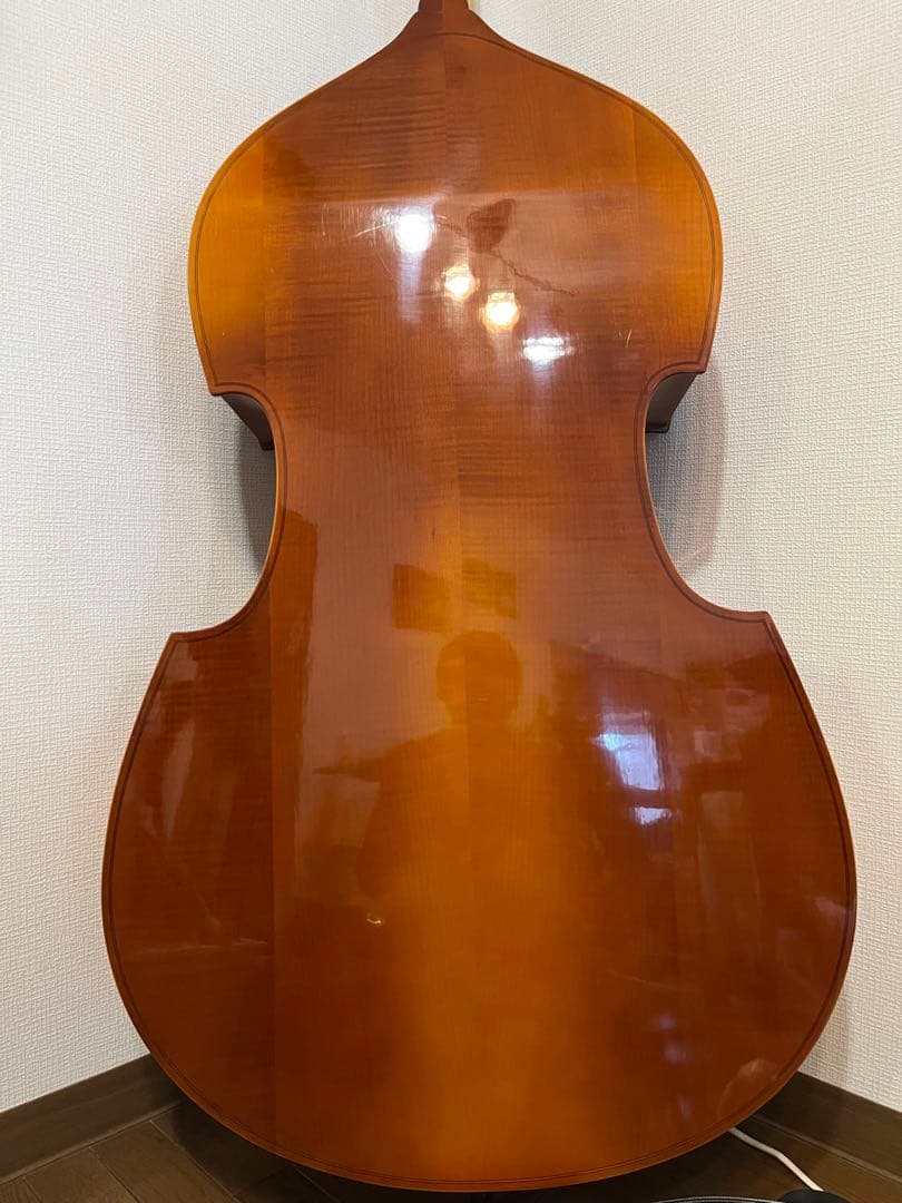 【mkt】Reghin 5弦コントラバス