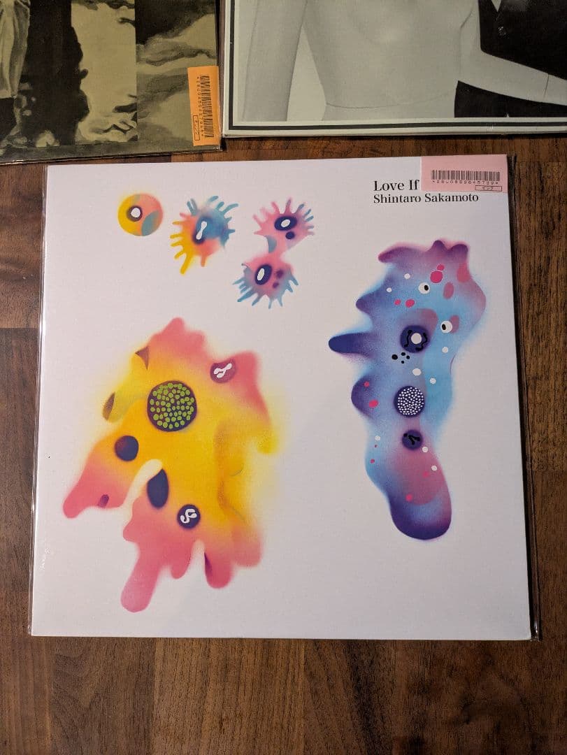 坂本慎太郎　できれば愛を　レコード