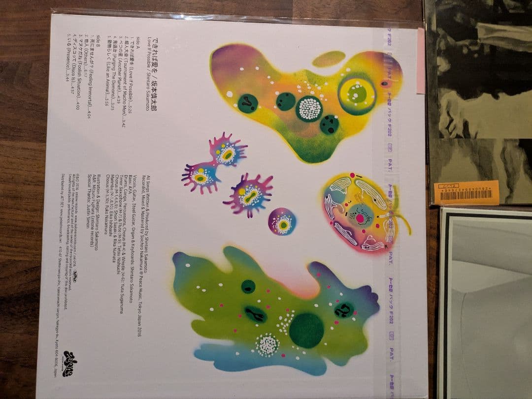 坂本慎太郎　できれば愛を　レコード