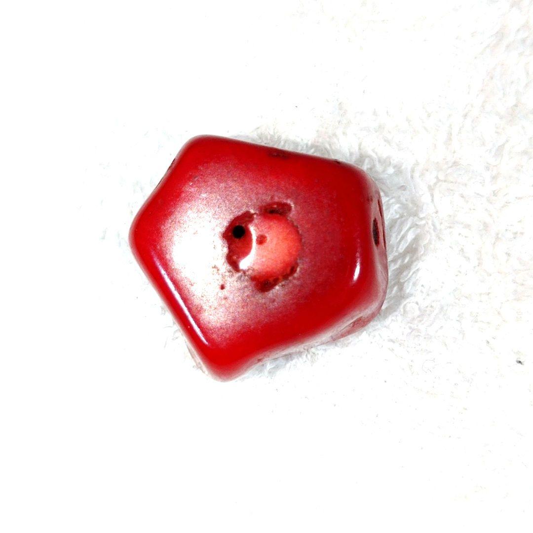 ☆☆深海の思い出☆☆山珊瑚