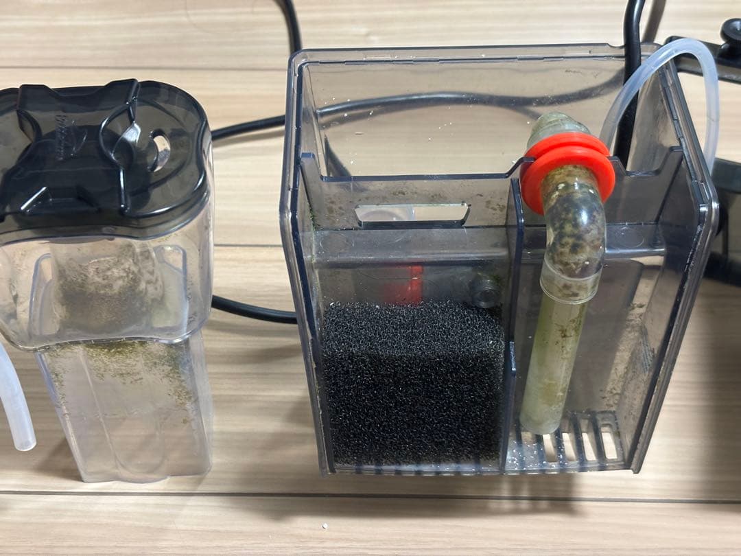 お買い得　ゼンスイ　QQ1 プロテインスキマー　海水魚　サンゴ