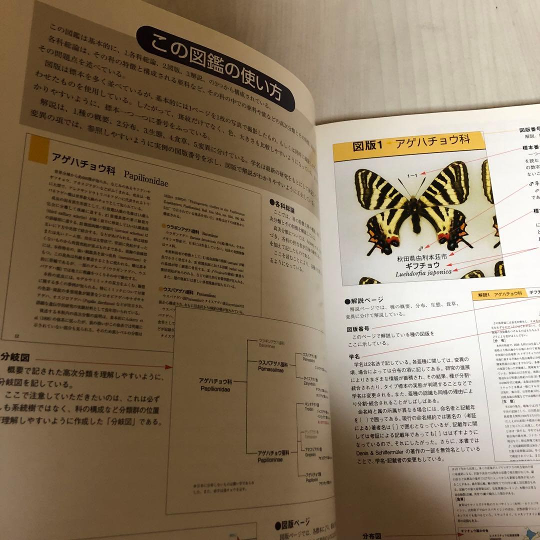 【希少品・絶版本】日本産蝶類標準図鑑 　 白水隆 ・学研